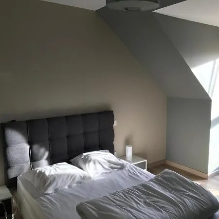 Fétuque Crin D'ours à Merlimont