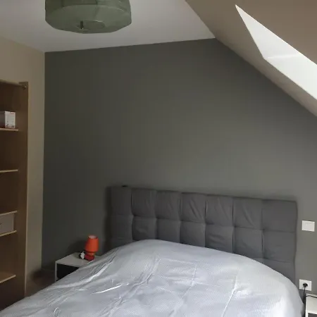 Fétuque Crin D'ours à