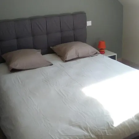 Fétuque Crin D'ours à