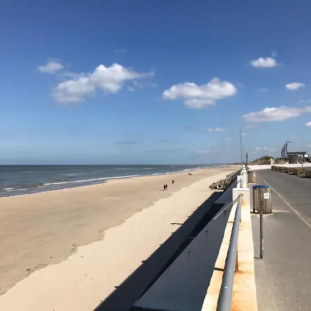 Fetuque Crin D'ours A * ميرليمونت