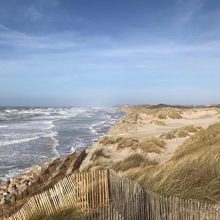Fétuque Crin D'ours à *