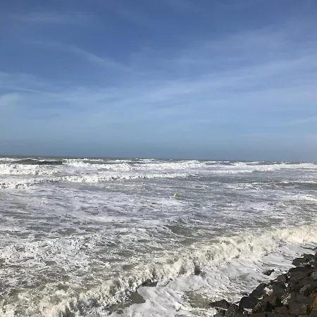Villa Fétuque Crin D'ours à