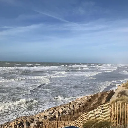 Fetuque Crin D'ours A فيلة *