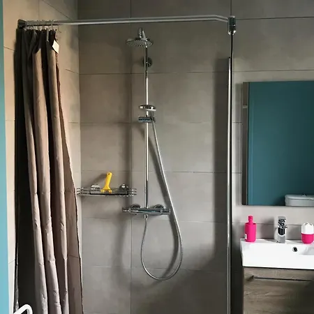 Fétuque Crin D'ours à * Merlimont