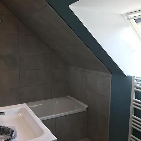 Fétuque Crin D'ours à * Merlimont