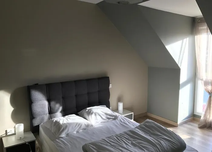 Fétuque Crin D'ours à Merlimont