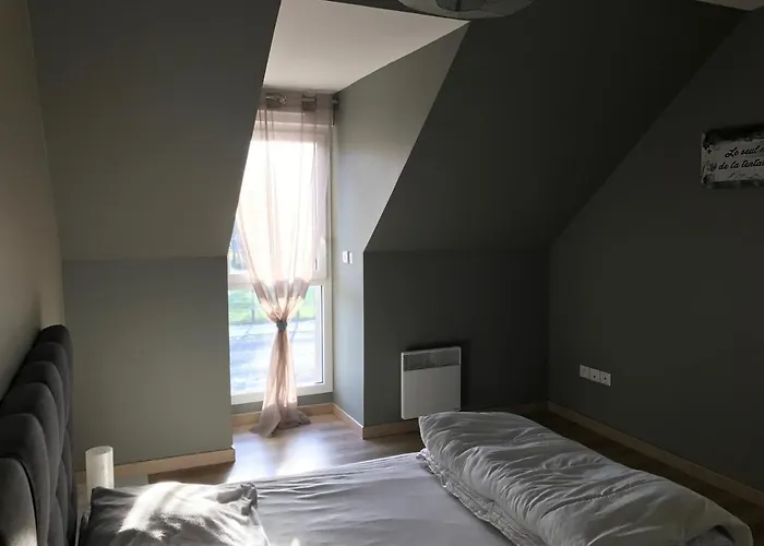 Fétuque Crin D'ours à Villa