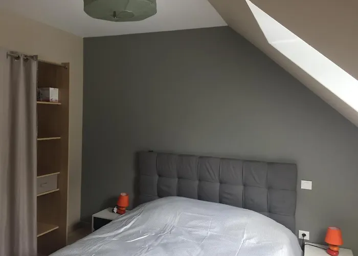 Fétuque Crin D'ours à