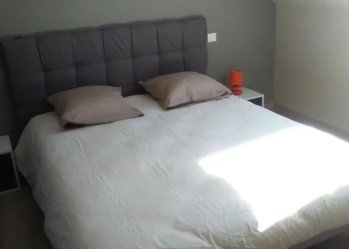 Fétuque Crin D'ours à