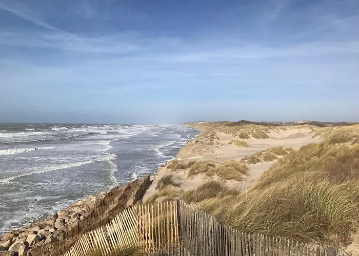 Fétuque Crin D'ours à *