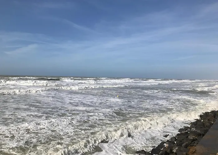 Villa Fétuque Crin D'ours à