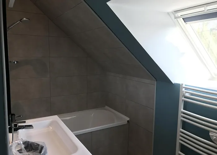 Fétuque Crin D'ours à * Merlimont